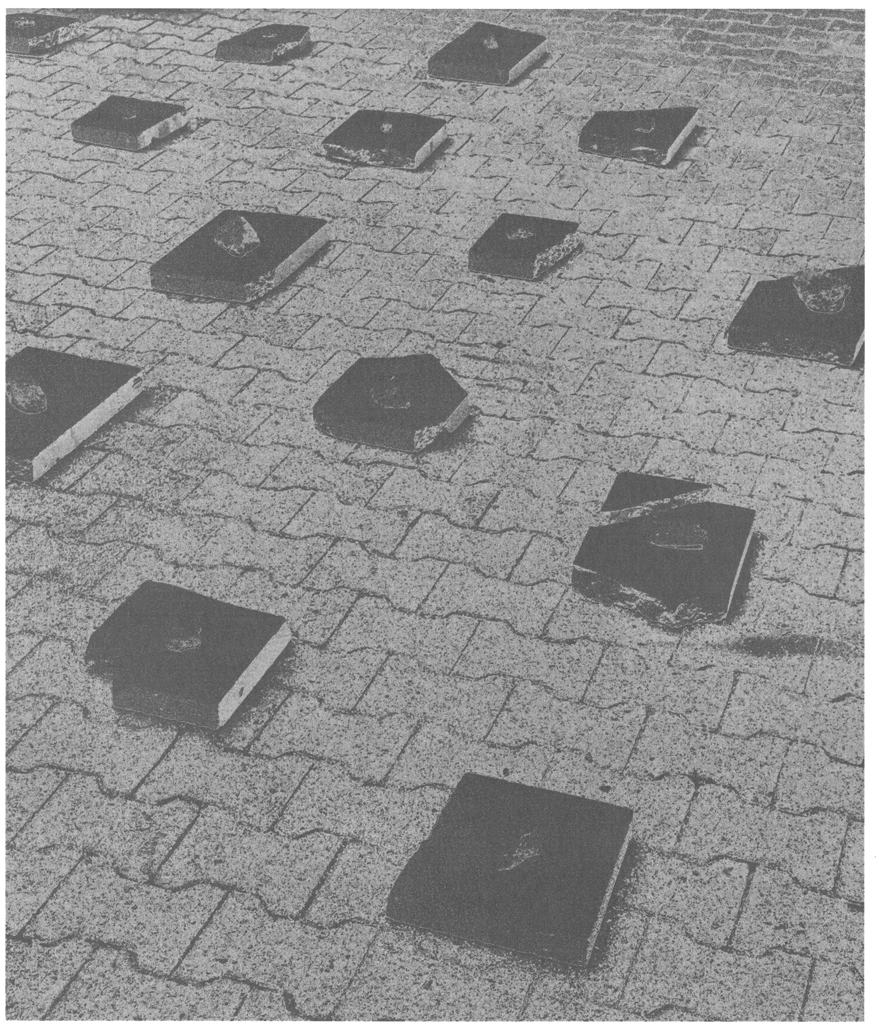 Transition Image 2